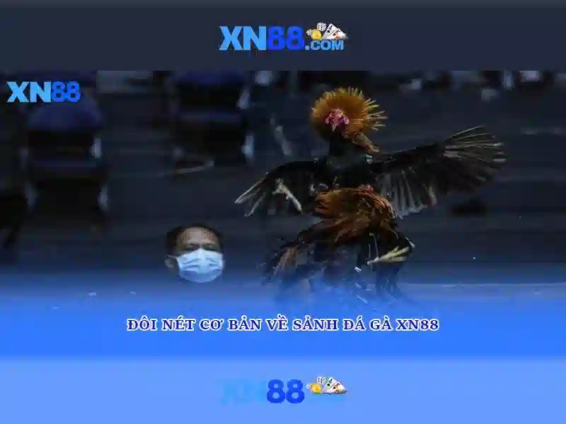 Mẹo chơi bắn cá 3 cây dễ ăn tiền nhà cái