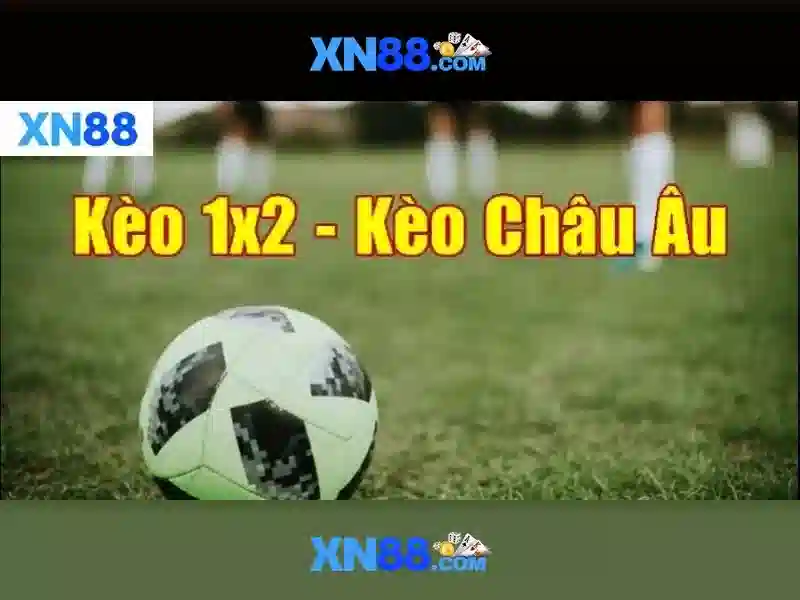 Hướng dẫn bắt đầu với xn88
