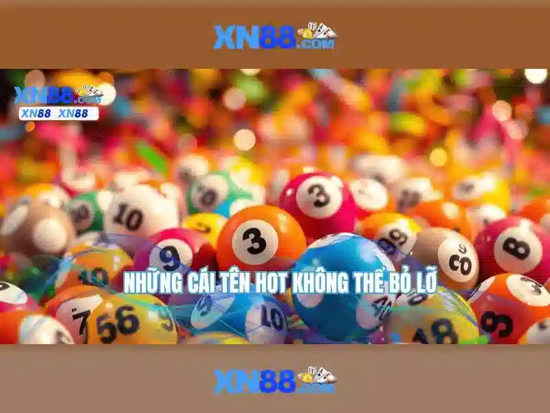 Đánh giá và ý kiến người dùng