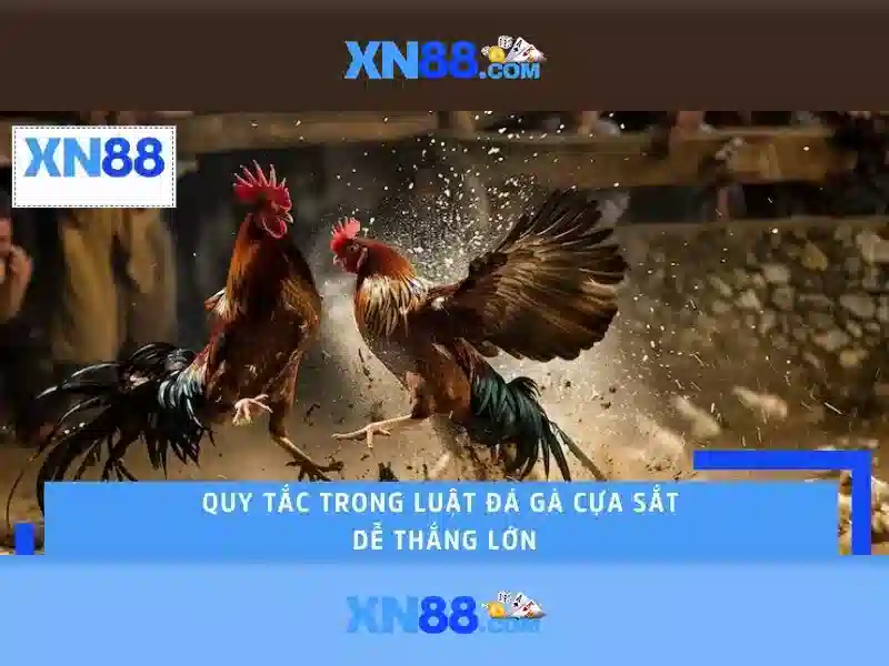 An toàn và trách nhiệm khi tham gia\n<p><span style=