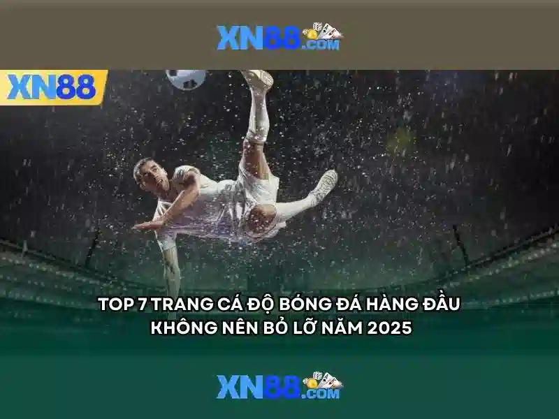 Tổng quan xn88-app
