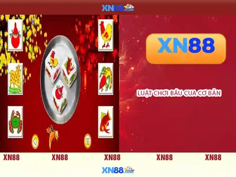 Giới thiệu về xn88