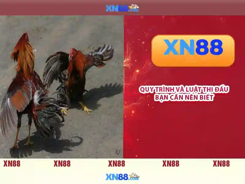 Hỗ trợ khách hàng và an toàn khi tham gia xn88