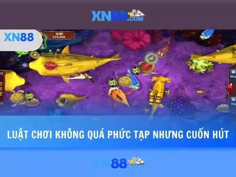 Giới thiệu về xn88