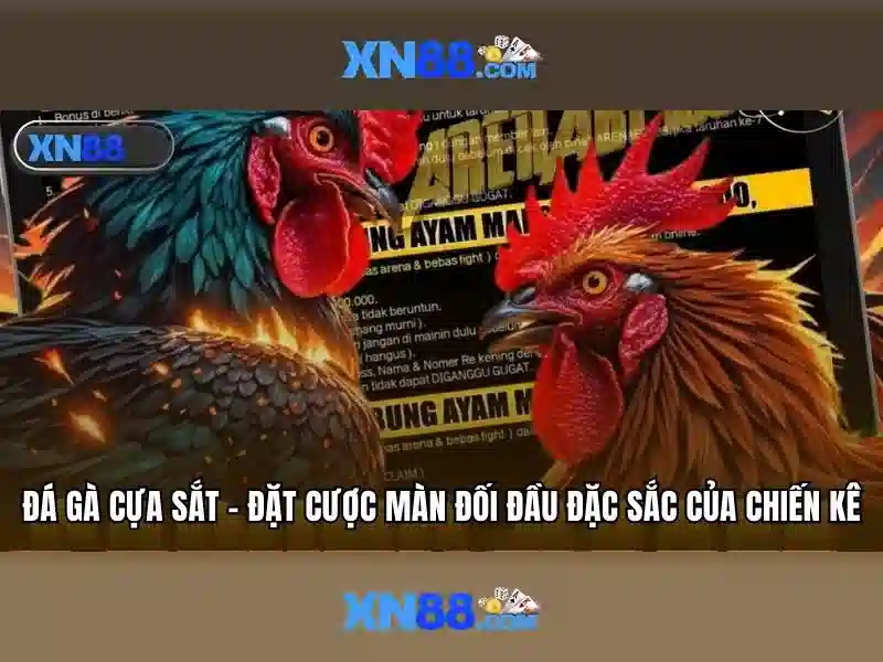 xn88 voq33.za.com – Tổng quan chủ đề và giá trị cốt lõi