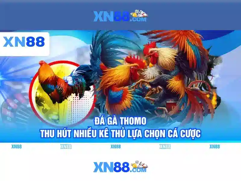 Sản phẩm và dịch vụ chính của xn88 app