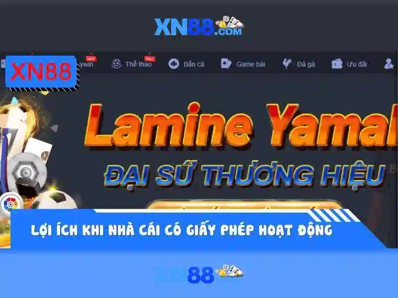 An toàn và hỗ trợ khách hàng