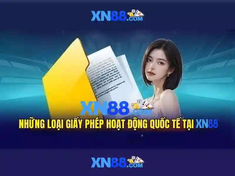 Trải nghiệm người dùng và phản hồi cộng đồng