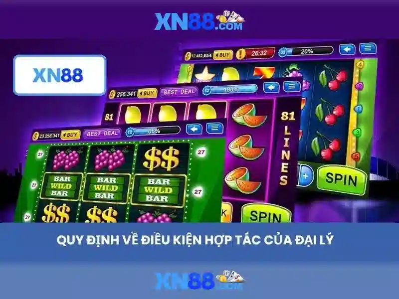 Lĩnh vực hoạt động và sản phẩm
