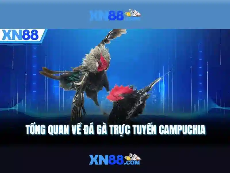 Bảo mật và thanh toán\n<h2 class=