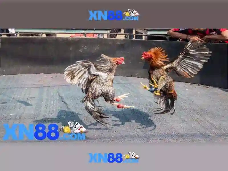 <!--IMG_PLACEHOLDER alt>Nguồn gốc từ ngữ và sứ mệnh-->