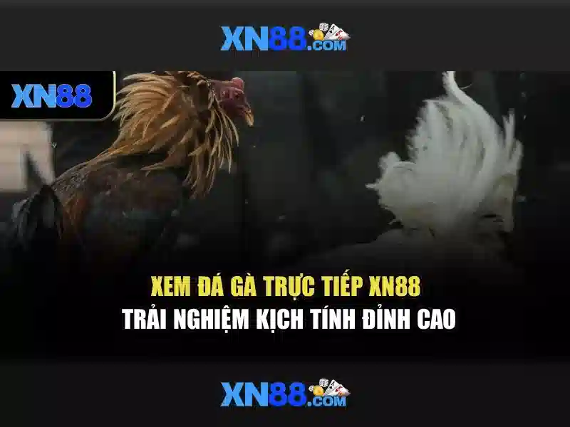 Mẹo chơi bắn cá 3 cây dễ ăn tiền nhà cái