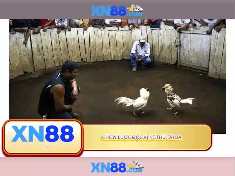Tính năng nổi bật