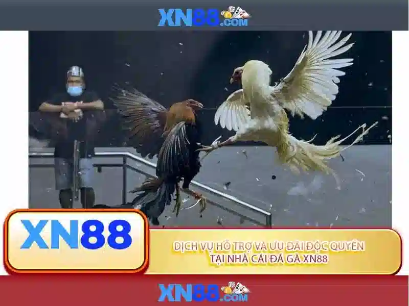 Cách hoạt động của XN88