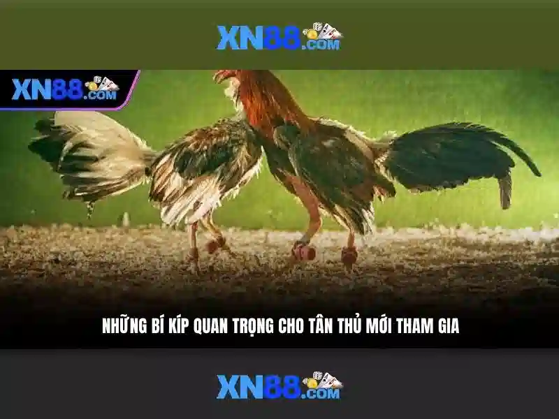 Khuyến mãi và tiền thưởng\n<h2 class=