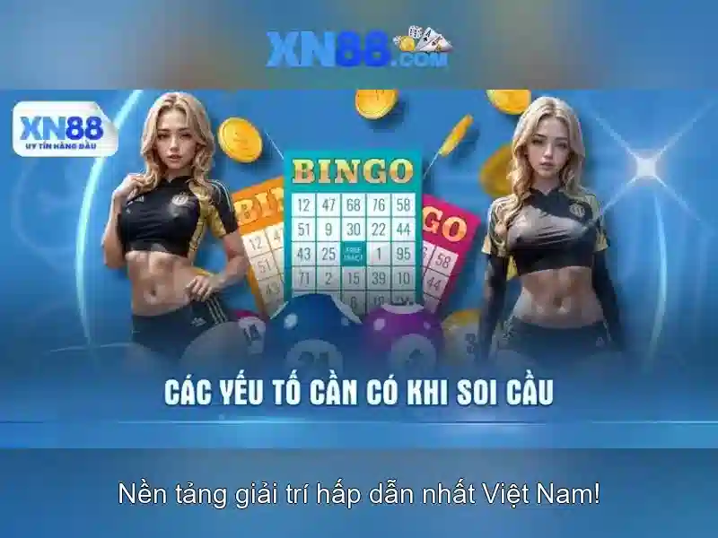 Hướng dẫn sử dụng cơ bản