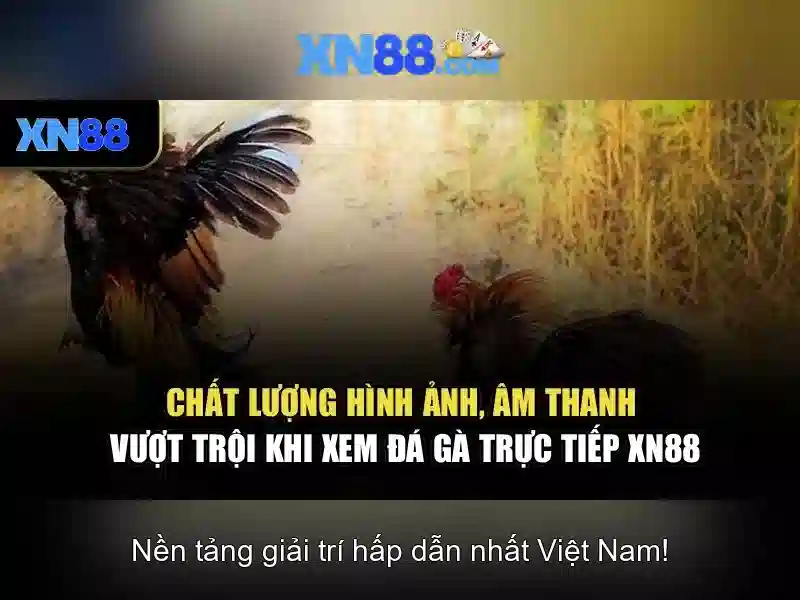 Mẹo chơi bắn cá 3 cây dễ ăn tiền nhà cái
