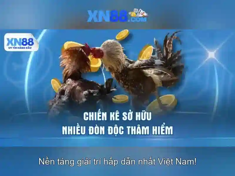 Góc nhìn giải trí và phụ trợ