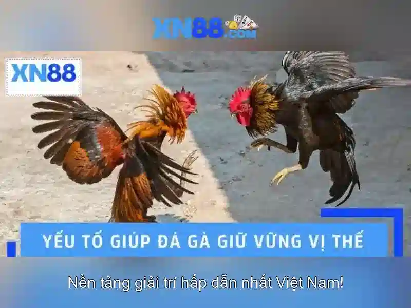 Các tính năng nổi bật của xn88