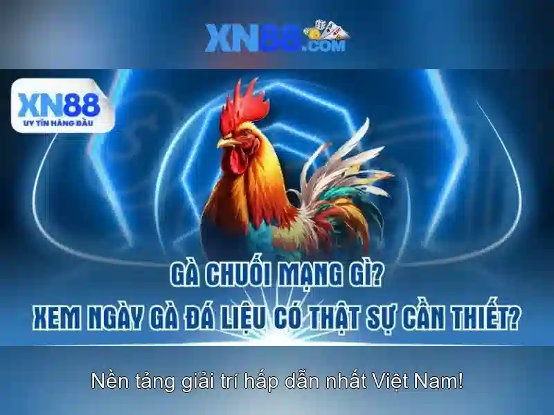 Các dịch vụ nổi bật