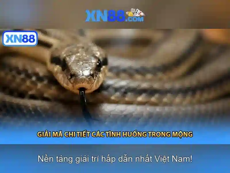 Mẹo chơi bắn cá 3 cây dễ ăn tiền nhà cái