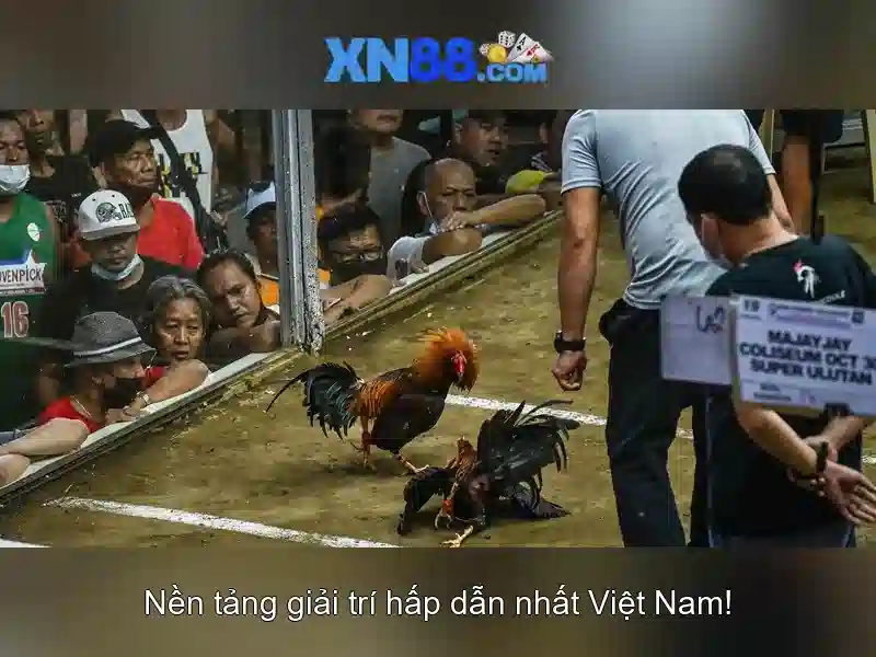 Hướng dẫn tham gia xn88