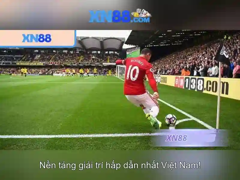 Chi tiết thanh toán và hỗ trợ khách hàng\n\n<h>Kết luận và cách bắt đầu</h>\n<p><span style=
