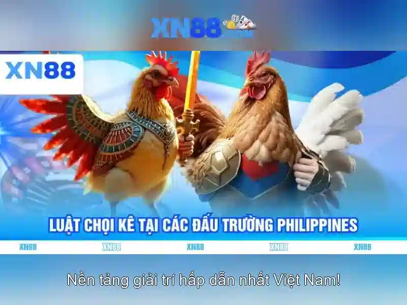 Giới thiệu về xn88