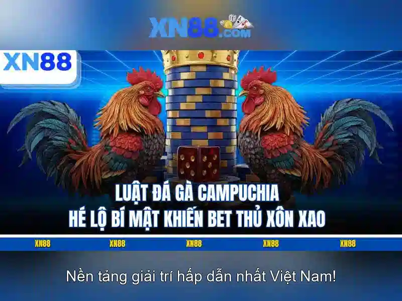 Giới thiệu về XN88