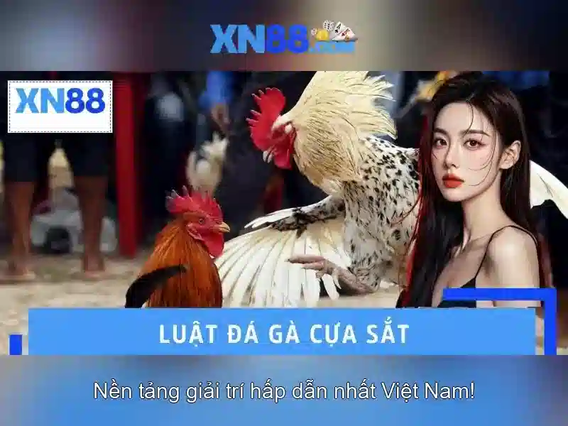 Tong quan dang ky xn88