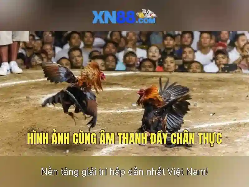 Mẹo chơi bắn cá 3 cây dễ ăn tiền nhà cái