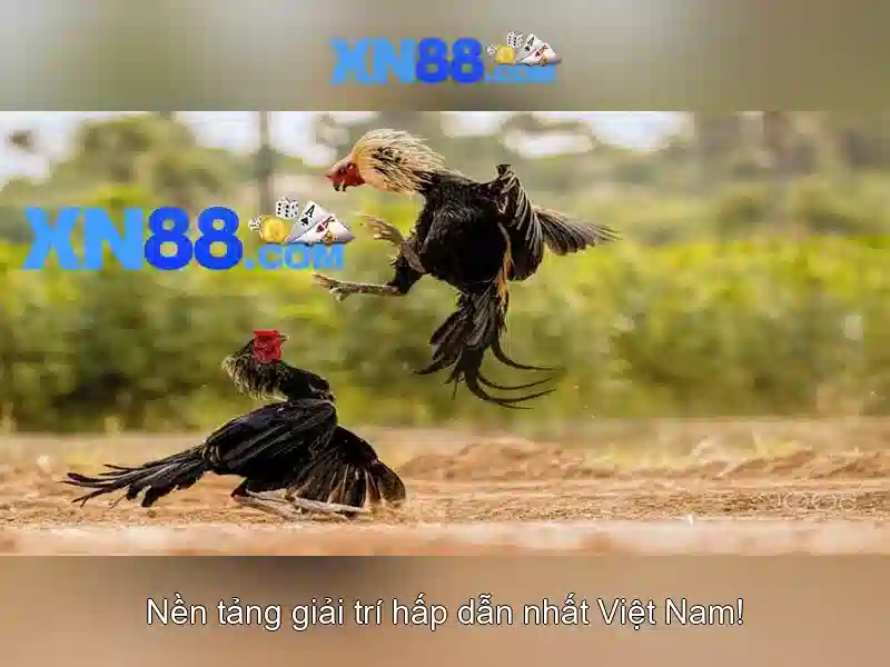 Mẹo chơi bắn cá 3 cây dễ ăn tiền nhà cái