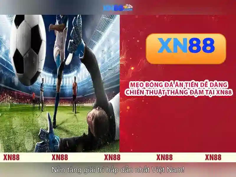 Ý tưởng giới thiệu ap xn88