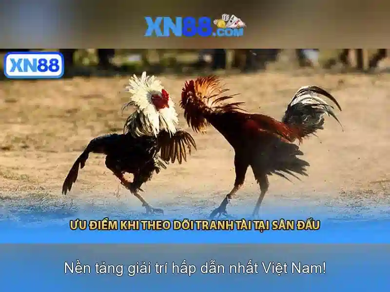 Các sản phẩm và dịch vụ