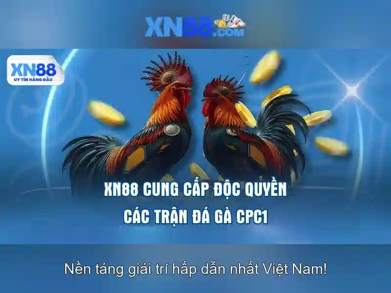 Nền tảng và khả năng bảo mật\n<p><span style=
