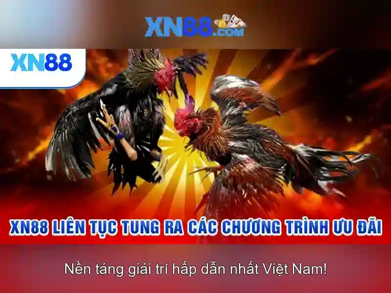 Trò chơi và công cụ