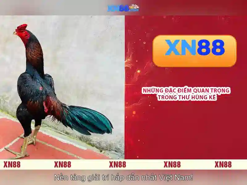 Mẹo chơi bắn cá 3 cây dễ ăn tiền nhà cái