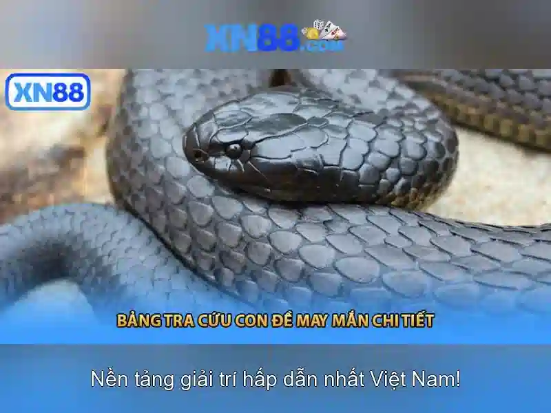Độ uy tín và trải nghiệm người dùng với xn88