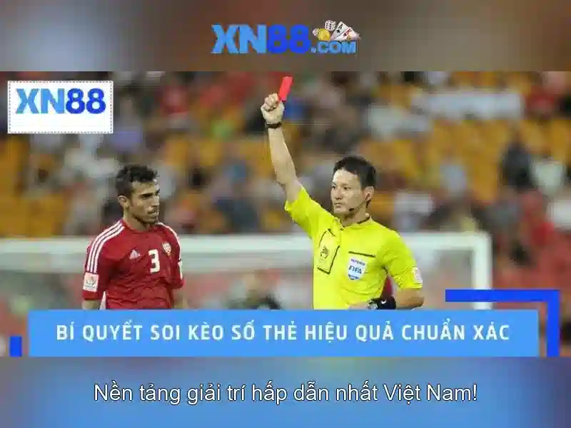 Tổng quan về Xn88