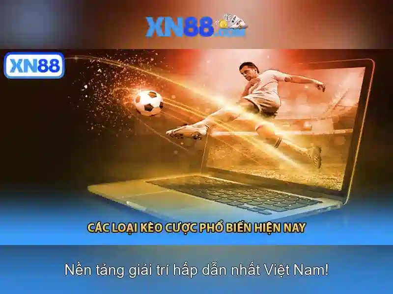 Nền tảng và chức năng\n<h>An toàn và bảo mật</h>\n<p><span style=