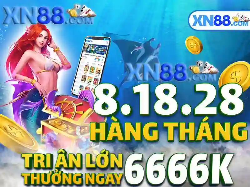 Trải nghiệm người dùng và phản hồi cộng đồng