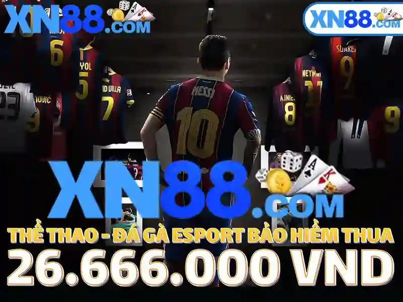 Trải nghiệm người dùng và phản hồi từ cộng đồng