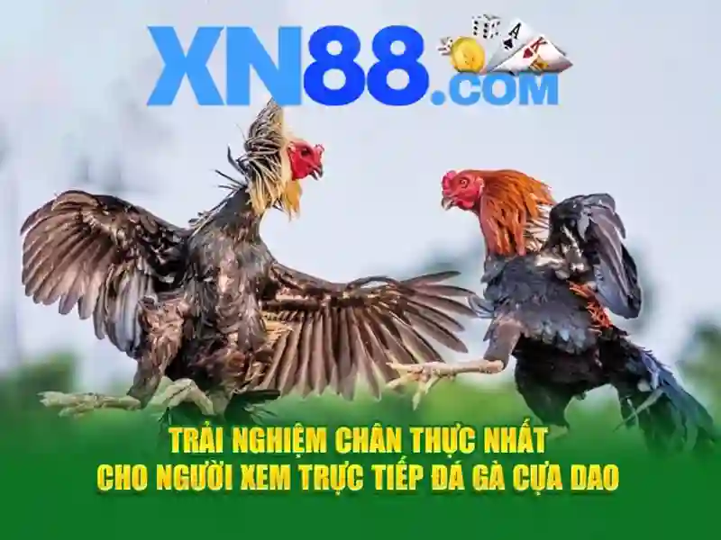 Mẹo chơi bắn cá 3 cây dễ ăn tiền nhà cái
