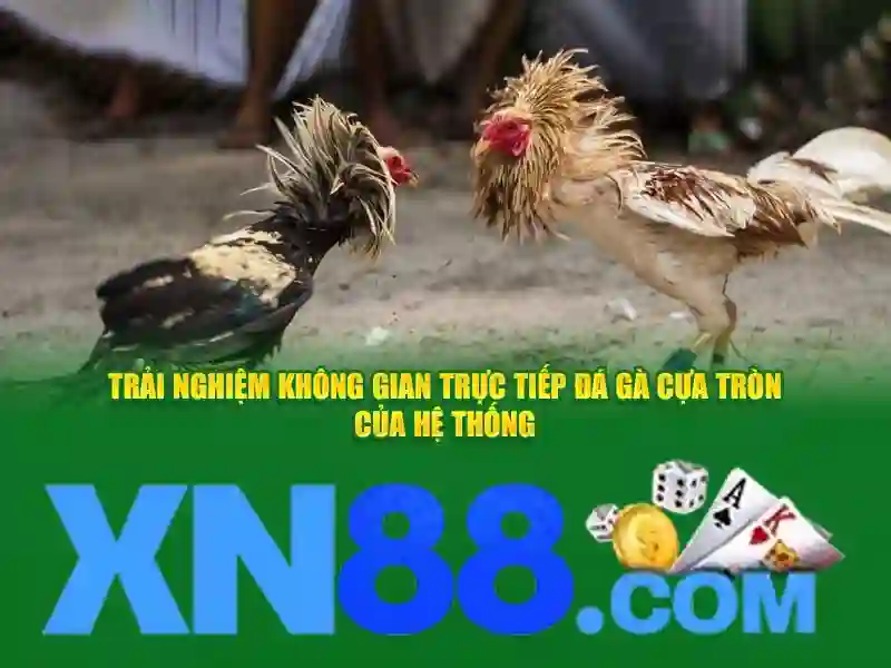 Lịch sử và sự phát triển