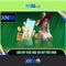 trang xn88 – Dẫn đầu trải nghiệm và dịch vụ đỉnh cao