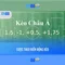 xn88 lucky – câu chuyện thương hiệu và hành trình số hóa