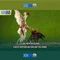 xn88 app com – Khám phá nền tảng và trải nghiệm số dẫn đầu