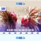 xn88 app com – Khám phá nền tảng và trải nghiệm số dẫn đầu