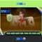 xn88 lucky – câu chuyện thương hiệu và hành trình số hóa