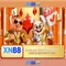 xn88 app com – Khám phá nền tảng và trải nghiệm số dẫn đầu